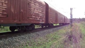 Тепловоз 2ТЭ116УД-049 с грузовым поездом