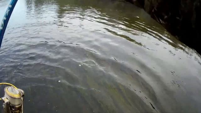 Ловим тайменя в черте города Новокузнецка . смотреть онлайн