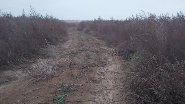 Куда пропала вода Крыма?!! Crimea is water. Межгорное водохранилище. 01.01.2021 смотреть онлайн