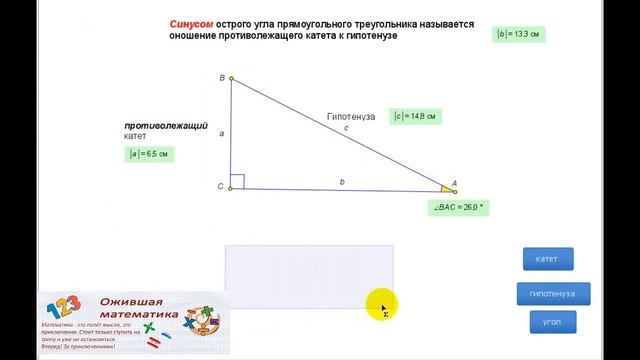 Определение sin и сos смотреть онлайн