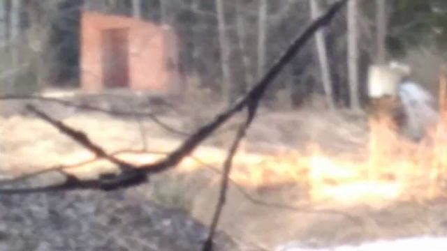 Выброс неочищенных канализационных вод около Алабушево смотреть онлайн