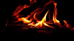 СТРАШНЫЕ ИСТОРИИ ПРО ОБОРОТНЕЙ В ТАЙГЕ / СТРАШНЫЕ ИСТОРИИ ПРО ОБОРОТНЕЙ / ВОЛК / ДЕРЕВНЯ / ЛЕС