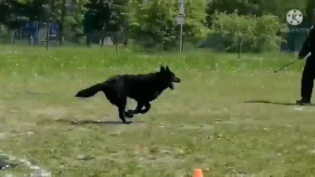 ВЕО В БРР смотреть онлайн
