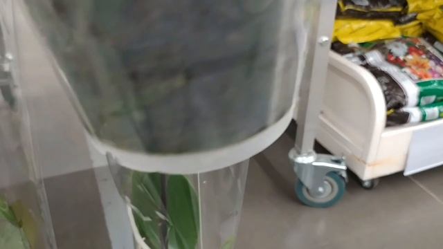 Обзор орхидей  15 апреля 2021 Леруа Мерлен  Воронеж Сити Град