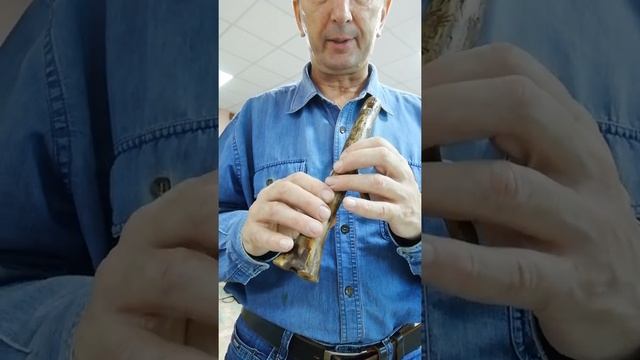 Свирель для Рубеуса Хагрида смотреть онлайн