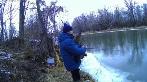 Тест катушка руоби заубер CR на реке