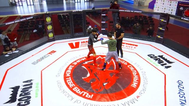 56,7 кг. V Кубок Казахстана. Юноши 16-17 лет смотреть онлайн