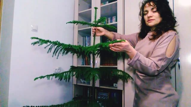 Уроки Живописи