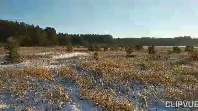 КРАСИВЫЙ СТИХ О ЖИЗНИ... ЖИВОЕ СЛОВО... смотреть онлайн