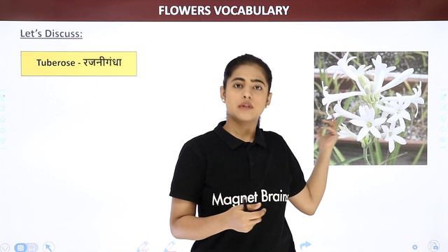 Flowers Vocabulary - Jasmine, Rose, Marigold, Sunflower, Hibiscus | Names of Flowers with Images смотреть онлайн