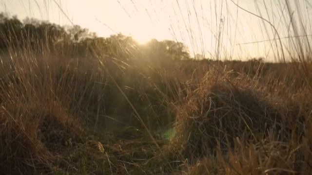 AEM APIs and their usage snippets смотреть онлайн