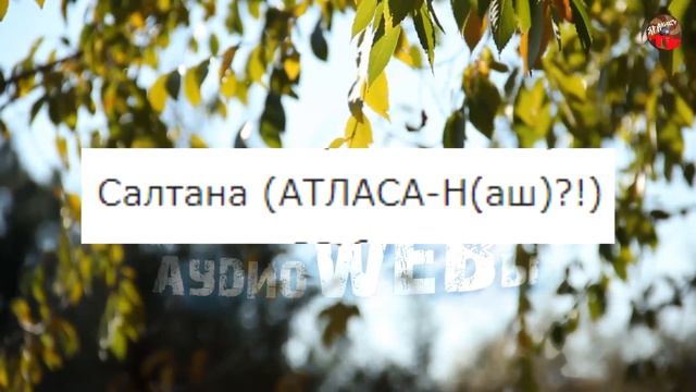 3 11.Невероятные приключения – “превращения” князя Гвидона… Ольга Шилова смотреть онлайн