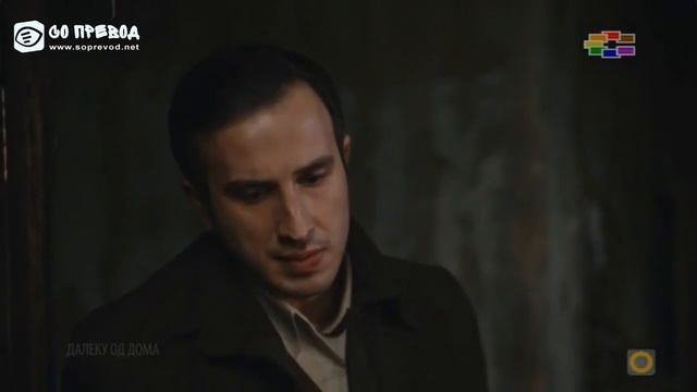 Дод 115 епизода смотреть онлайн