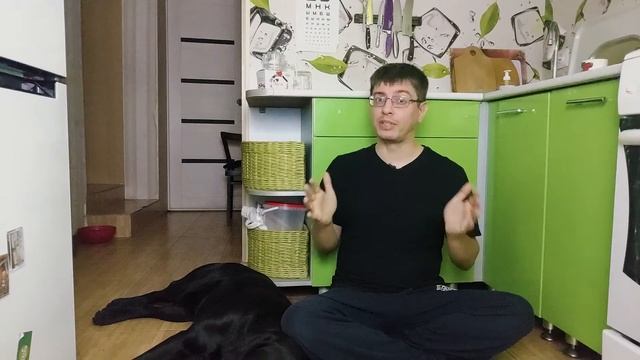 5 ПРИЧИН ЗАВОДИТЬ СОБАКУ смотреть онлайн