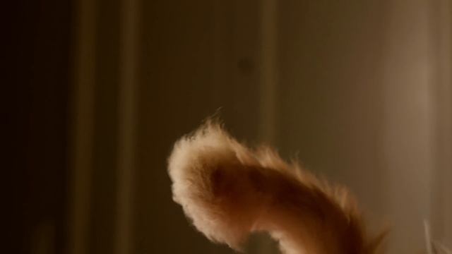 Hover Cat (Ep. 01) смотреть онлайн