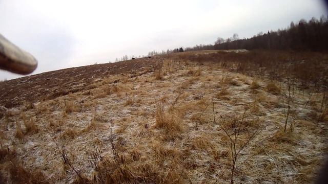 Загонная охота на кабанов смотреть онлайн