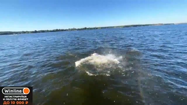 РОСТИК ПРЫГНУЛ В ВОДУ В ОДЕЖДЕ смотреть онлайн