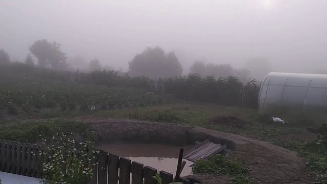 Туман, гуси и маленькие гусята. смотреть онлайн