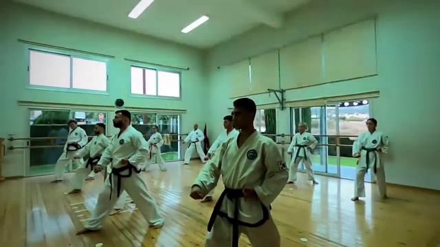G.Master Anastasios Tziamalis - Seminar смотреть онлайн