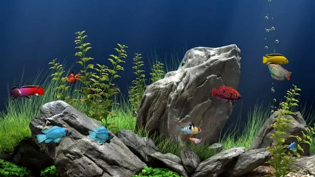 Soothing Aquarium Underwater Fish Tank | Only Water Sounds For Relaxing | 6 Hours