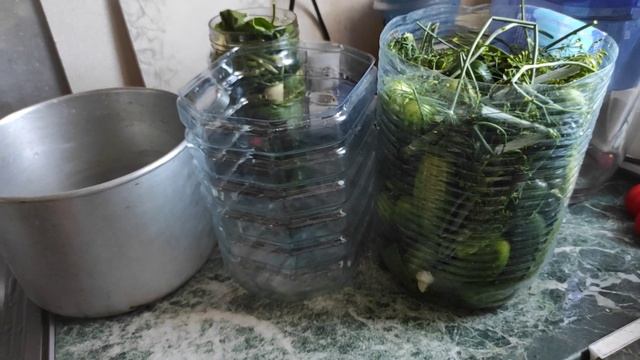 ДАЧА.19.07.-25.07.21.Засолка огурцов ..дачный вариант. смотреть онлайн