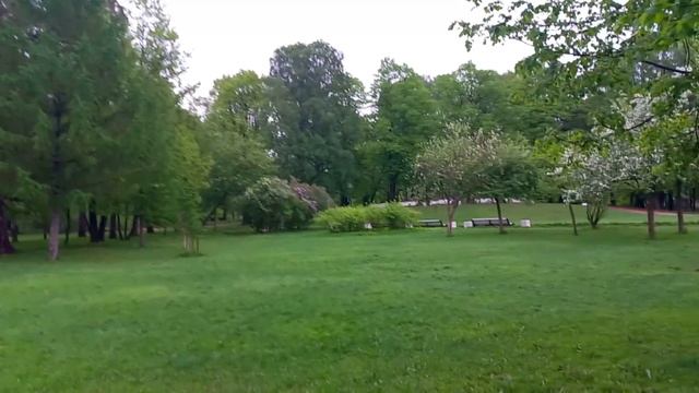 Стас уехал? ЧТО С ПАРАДНОЙ ?Познавательная прогулка от папы в Таврическом саду? ГДЕ Белые ночи? смотреть онлайн