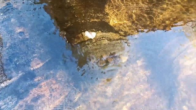 Прогулка р. Сторонье Кандалакшский район