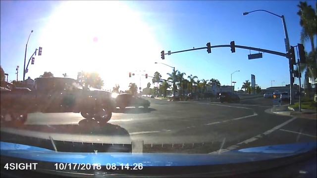 The Original Dash Cam K-9 смотреть онлайн