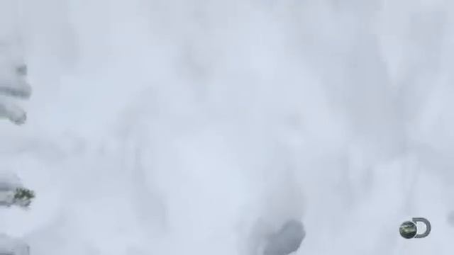Dual survivor Artic 1 смотреть онлайн