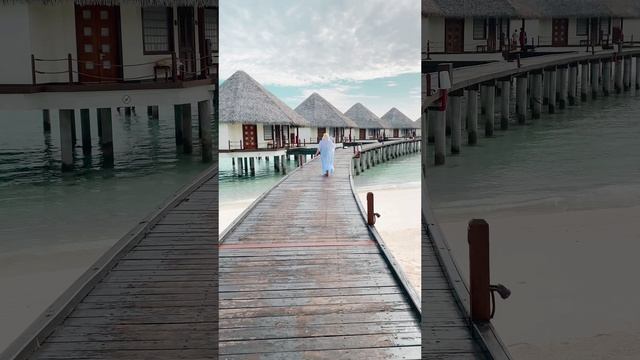 2022-10-31 смотреть онлайн