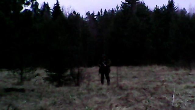 Весенняя охота на Вальдшнепа 2021. Тверская область. смотреть онлайн