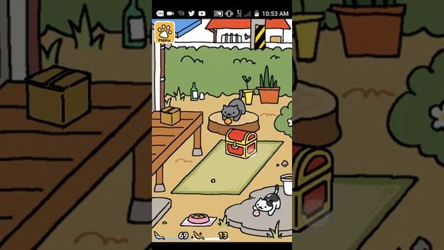 Pictures Of A Shadow - Neko Atsume: Kitty Collector смотреть онлайн