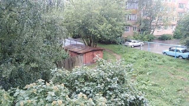 Салатная капуста Хакусай , Хиросима и Бай Цай.....Новинки семян , пробный посев.... смотреть онлайн