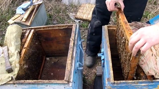 #1#. С чего начать пчеловодство?! Пчеловодство с 0! Пчеловодство для начинающих! смотреть онлайн