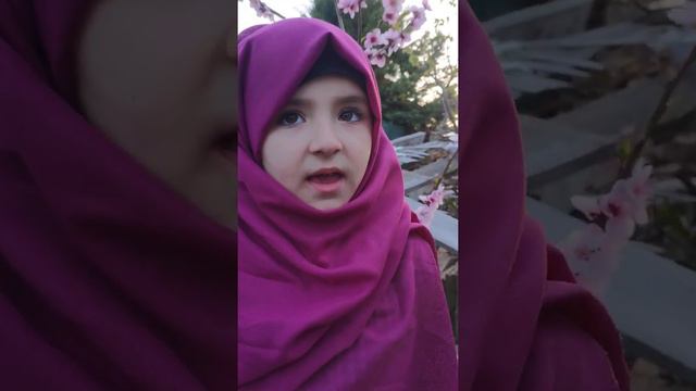 Meryem - Nasheed (Mohamed Tarek & Karim Amr) смотреть онлайн