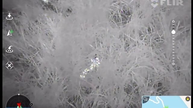 Hog hunting with thermal drone смотреть онлайн