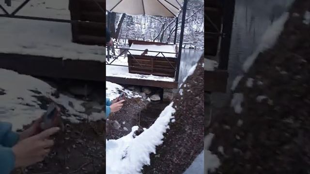 Кабардино-Балкария. Голубые озера. смотреть онлайн