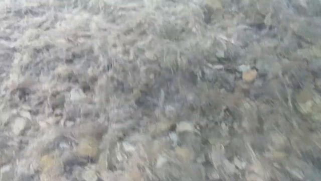 Река Нечепсухо 2) смотреть онлайн