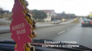 Лучший ароматизатор в машину! Топ пахучек в машину.