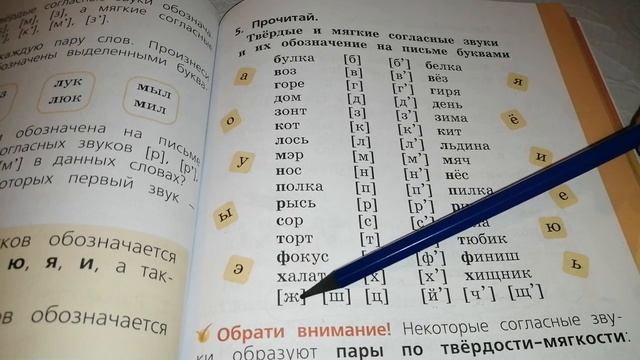 Твёрдость и мягкость согл зв смотреть онлайн