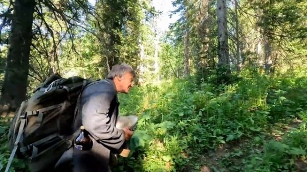 Место силы / 1 серия