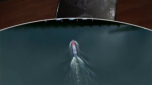 Открывая Череповец