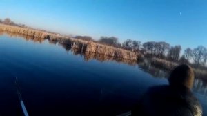 Охота на сети и браконьеров.