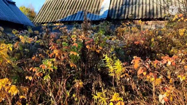 Продано Санкт-Петербург, Красносельский район, участок 1630 кв.м с газом смотреть онлайн