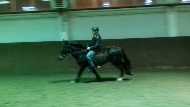 2016 02 19 19 50 49 Галоп без седла