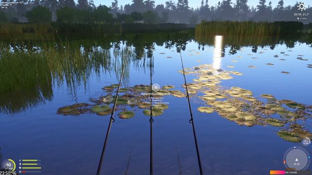 🦯[ Russian Fishing 4 ] Охота на линя золотистого.Хорошего вечера😀Леди и Джентльмены🦯 смотреть онлайн