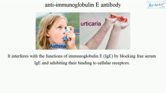 anti-immunoglobulin E antibody смотреть онлайн