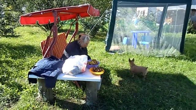 конец августа 21г смотреть онлайн