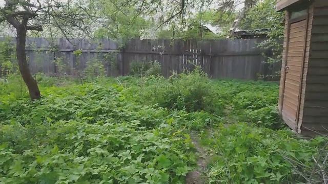 Определенно Дача смотреть онлайн