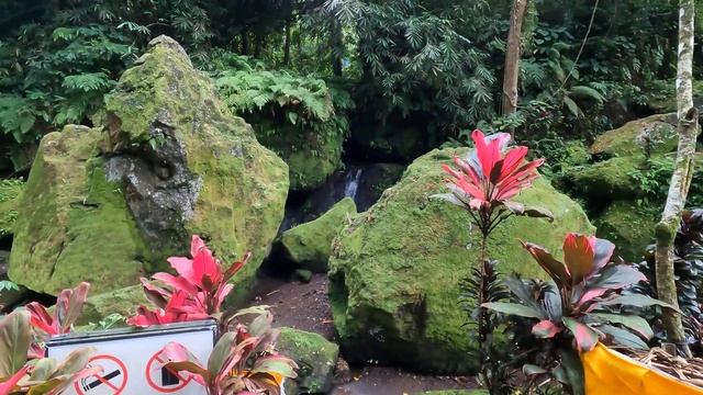 Goa Gajah, Bali смотреть онлайн